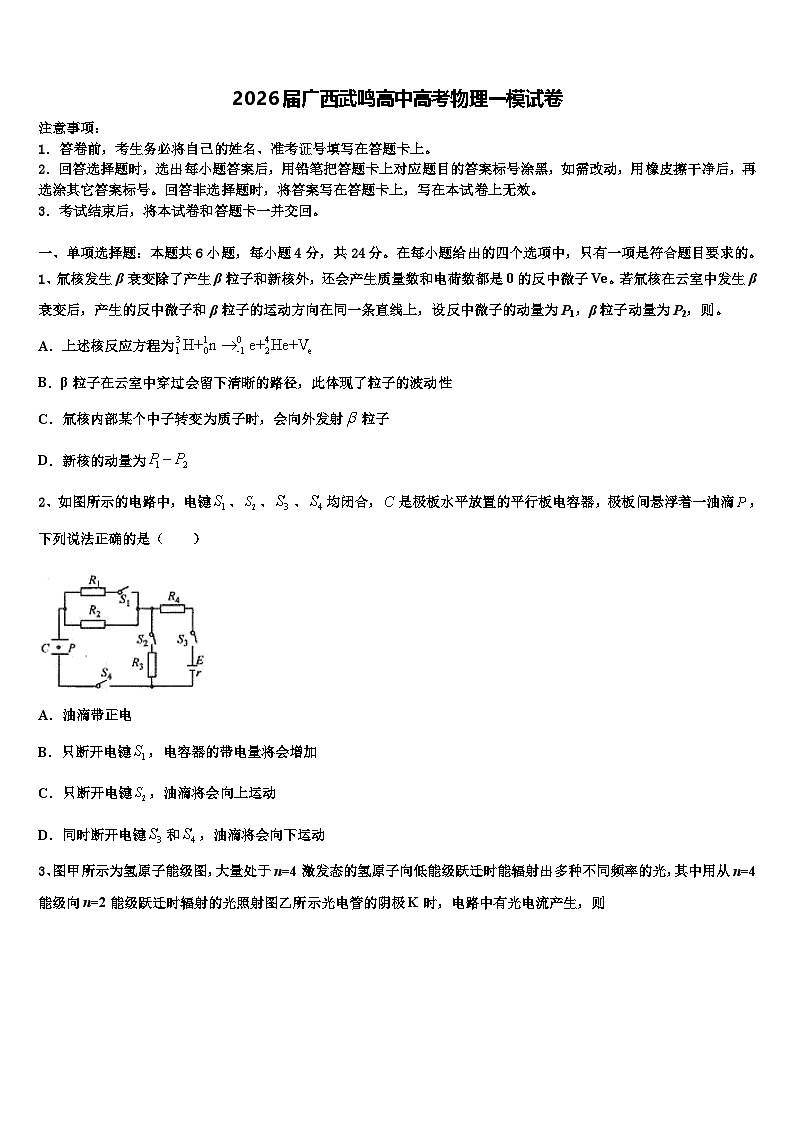 2026届广西武鸣高中高考物理一模试卷含解析第1页