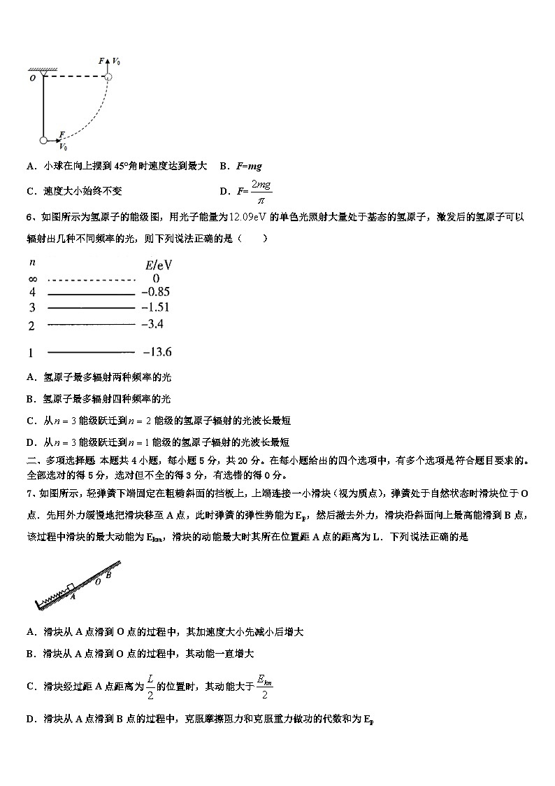 2026届广西示范中学高三下学期一模考试物理试题含解析第3页