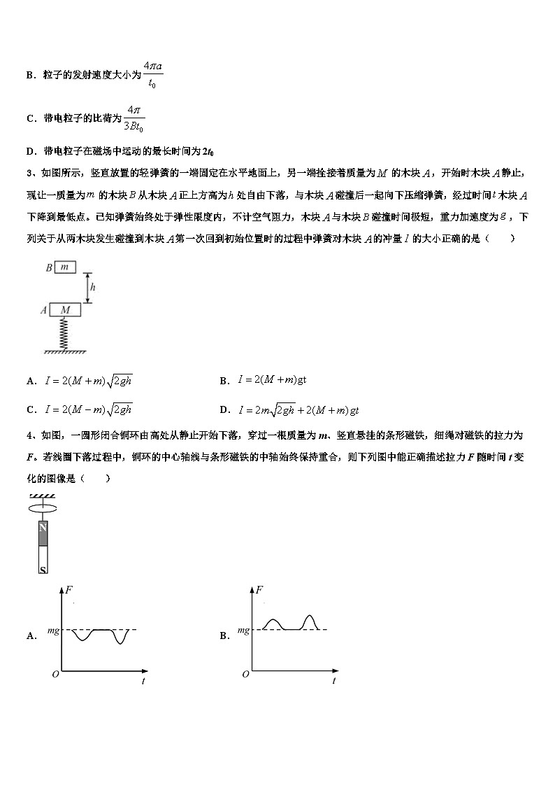 2026届海南省鲁迅中学高三第一次模拟考试物理试卷含解析第2页