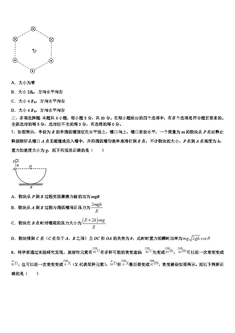 2026届河北省安平县安平中学高三压轴卷物理试卷含解析第3页