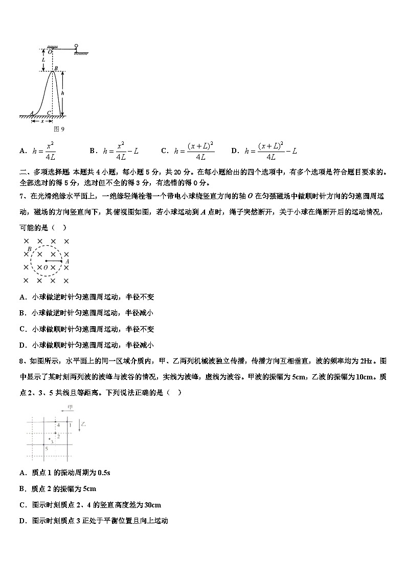 2026届河北省廊坊市六校联考高三下学期联考物理试题含解析第3页