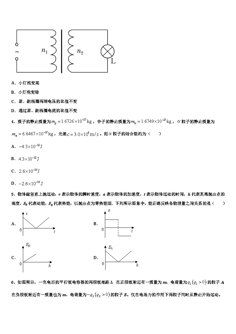2026届河北省保定市阜平中学高考物理押题试卷含解析第2页