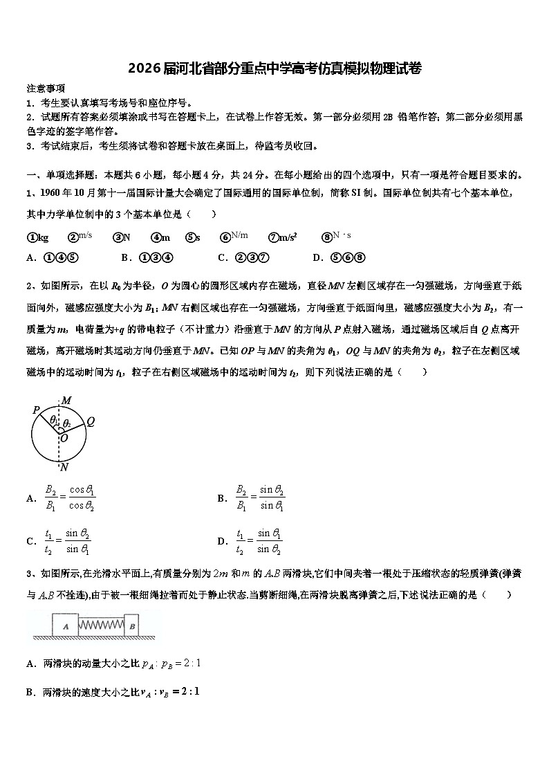 2026届河北省部分重点中学高考仿真模拟物理试卷含解析第1页