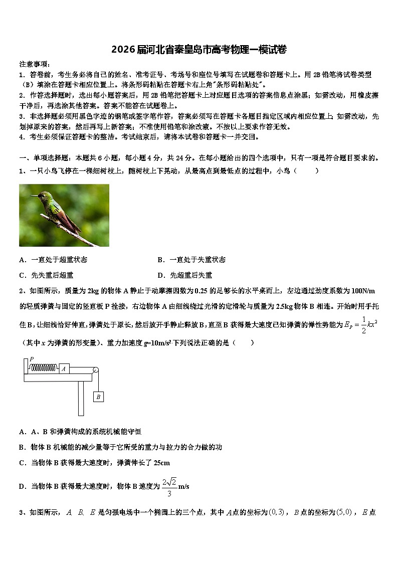 2026届河北省秦皇岛市高考物理一模试卷含解析第1页