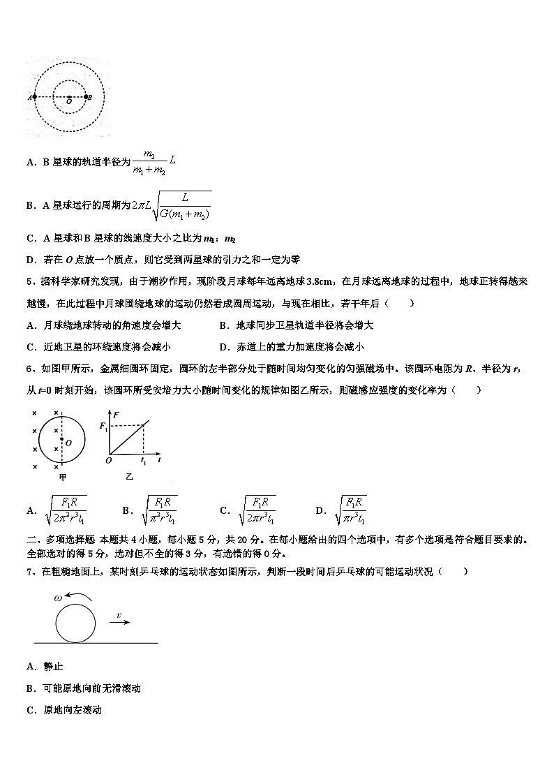 2026届河北省馆陶一中高考物理倒计时模拟卷含解析第2页