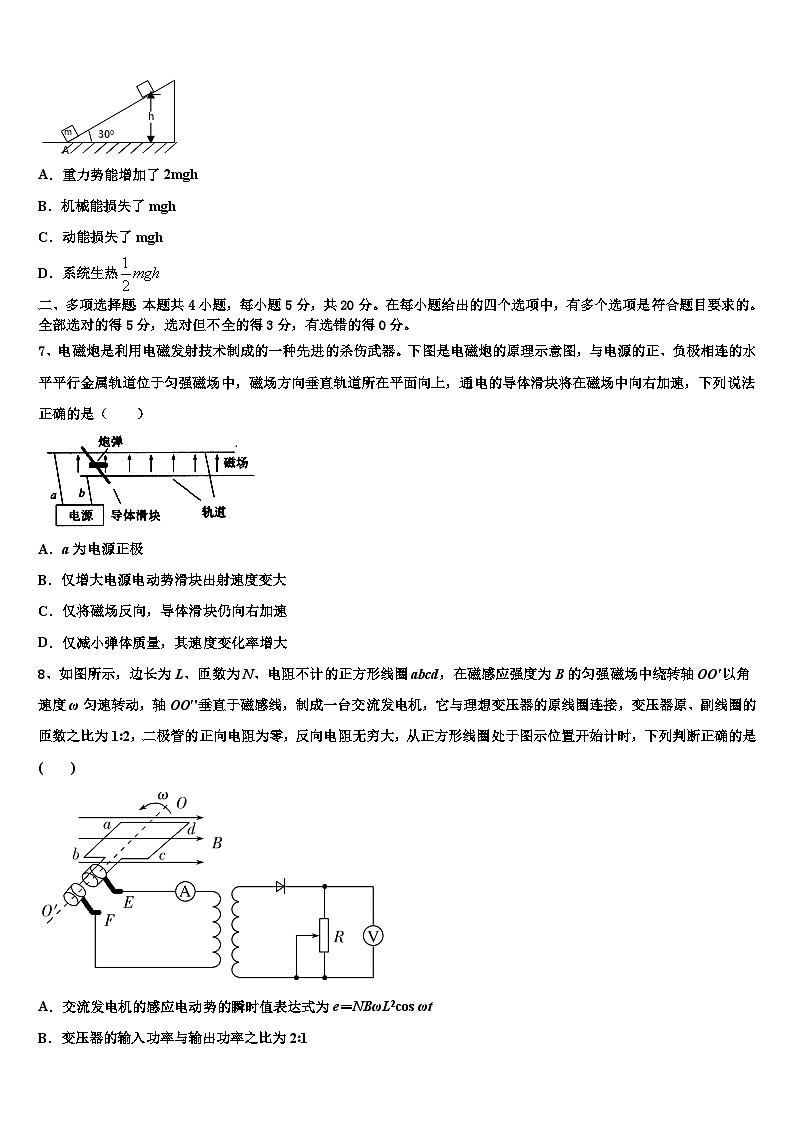 2026届河北省辛集中学高三下学期第五次调研考试物理试题含解析第3页
