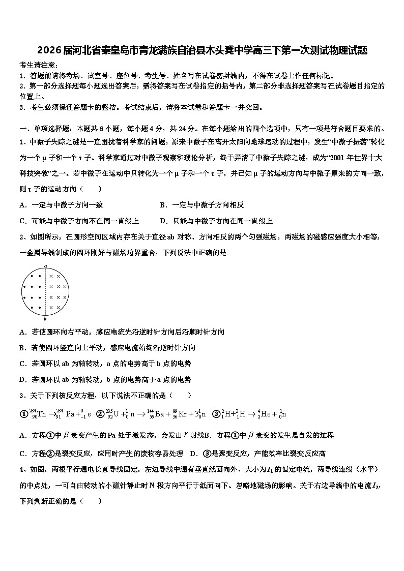 2026届河北省秦皇岛市青龙满族自治县木头凳中学高三下第一次测试物理试题含解析第1页
