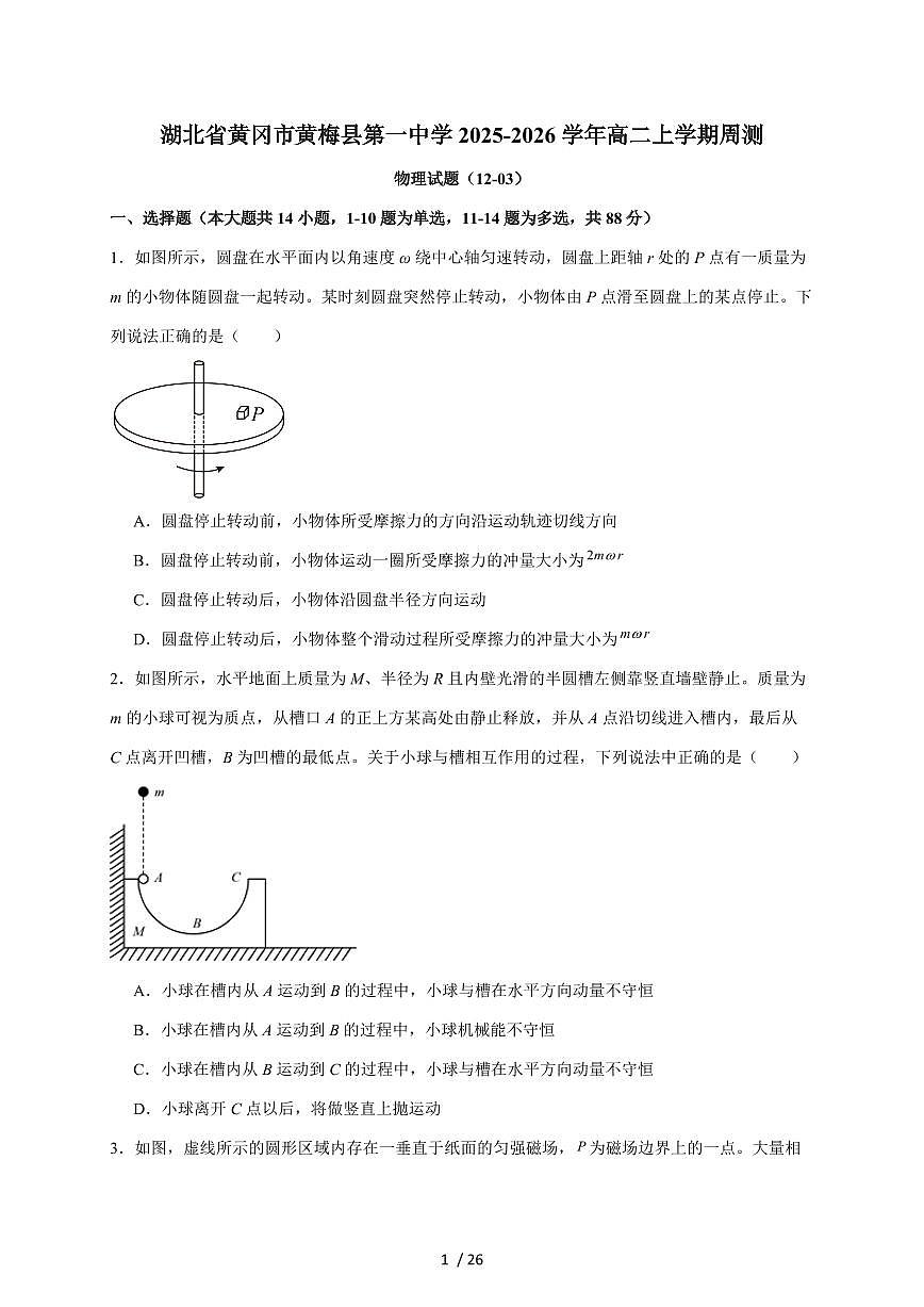 湖北省黄梅县第一中学2025~2026学年高二上册周测（12.3）物理试题（含解析）第1页