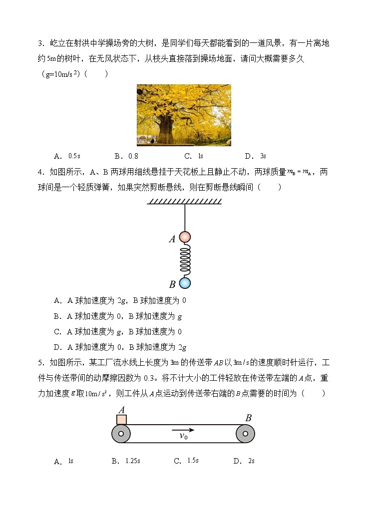 物理试题第2页