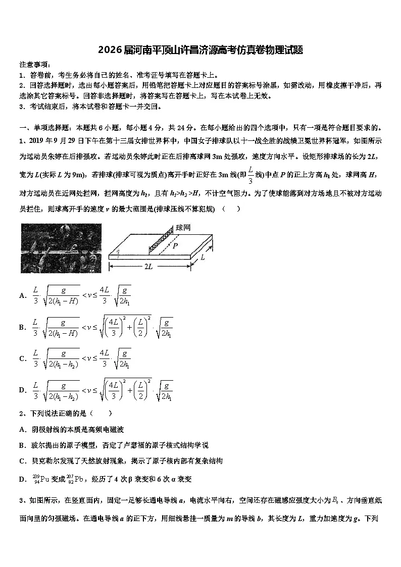 2026届河南平顶山许昌济源高考仿真卷物理试题含解析2第1页