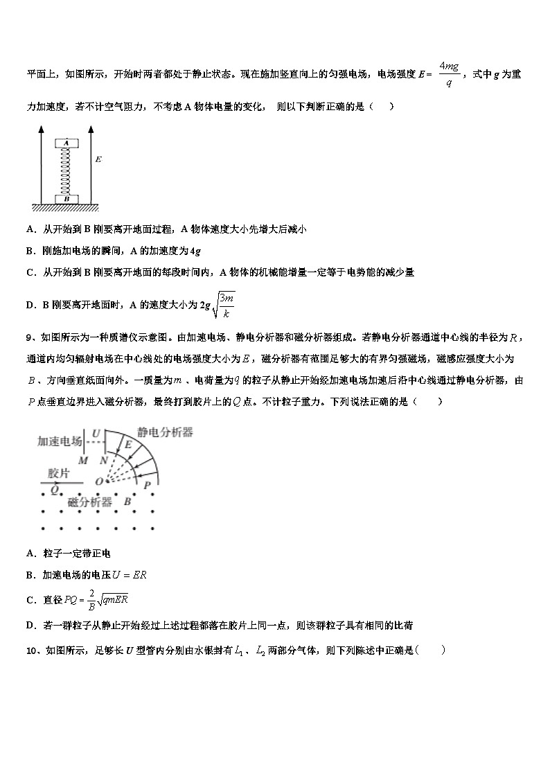 2026届河南省安阳市安阳县第一高级中学高考压轴卷物理试卷含解析第3页