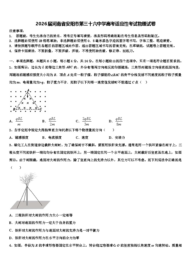 2026届河南省安阳市第三十六中学高考适应性考试物理试卷含解析第1页