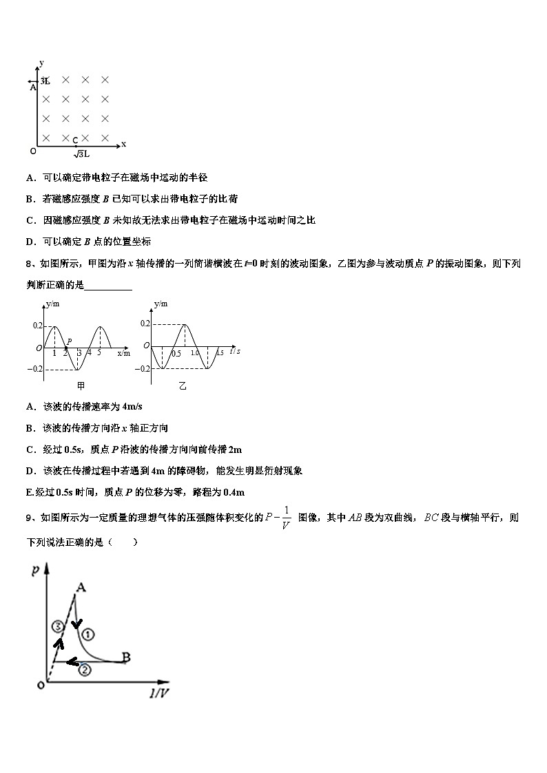 2026届河南省洛阳市第一中学高考适应性考试物理试卷含解析第3页