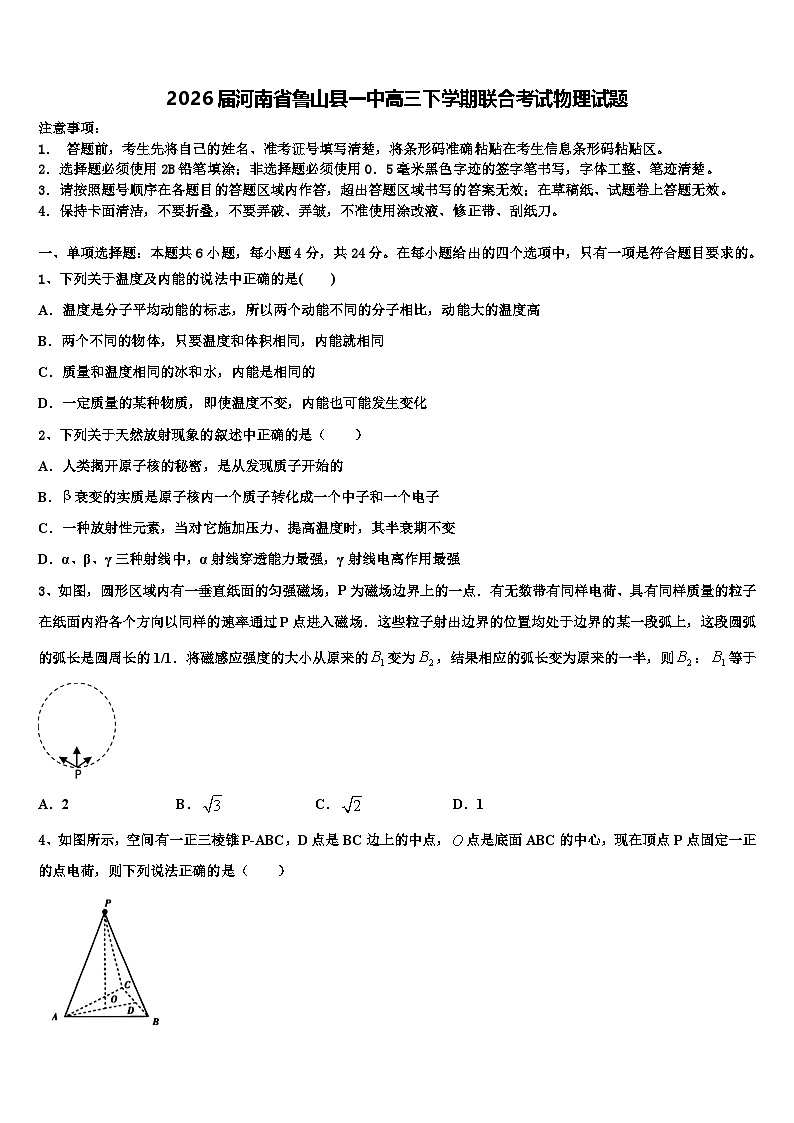 2026届河南省鲁山县一中高三下学期联合考试物理试题含解析第1页