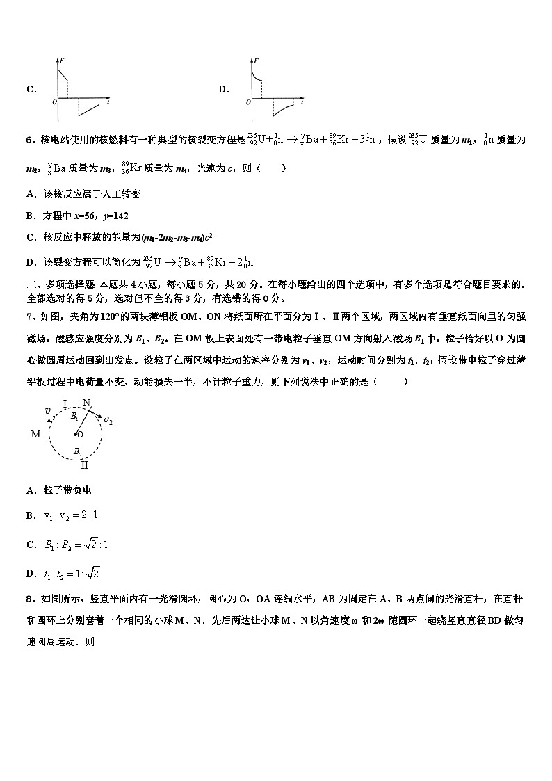2026届河南省林州一中高三3月份模拟考试物理试题含解析第3页