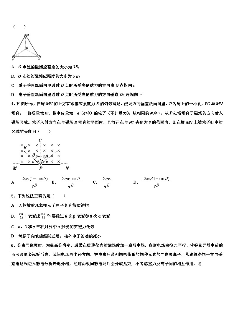2026届河南省济源市高三下学期第六次检测物理试卷含解析第2页