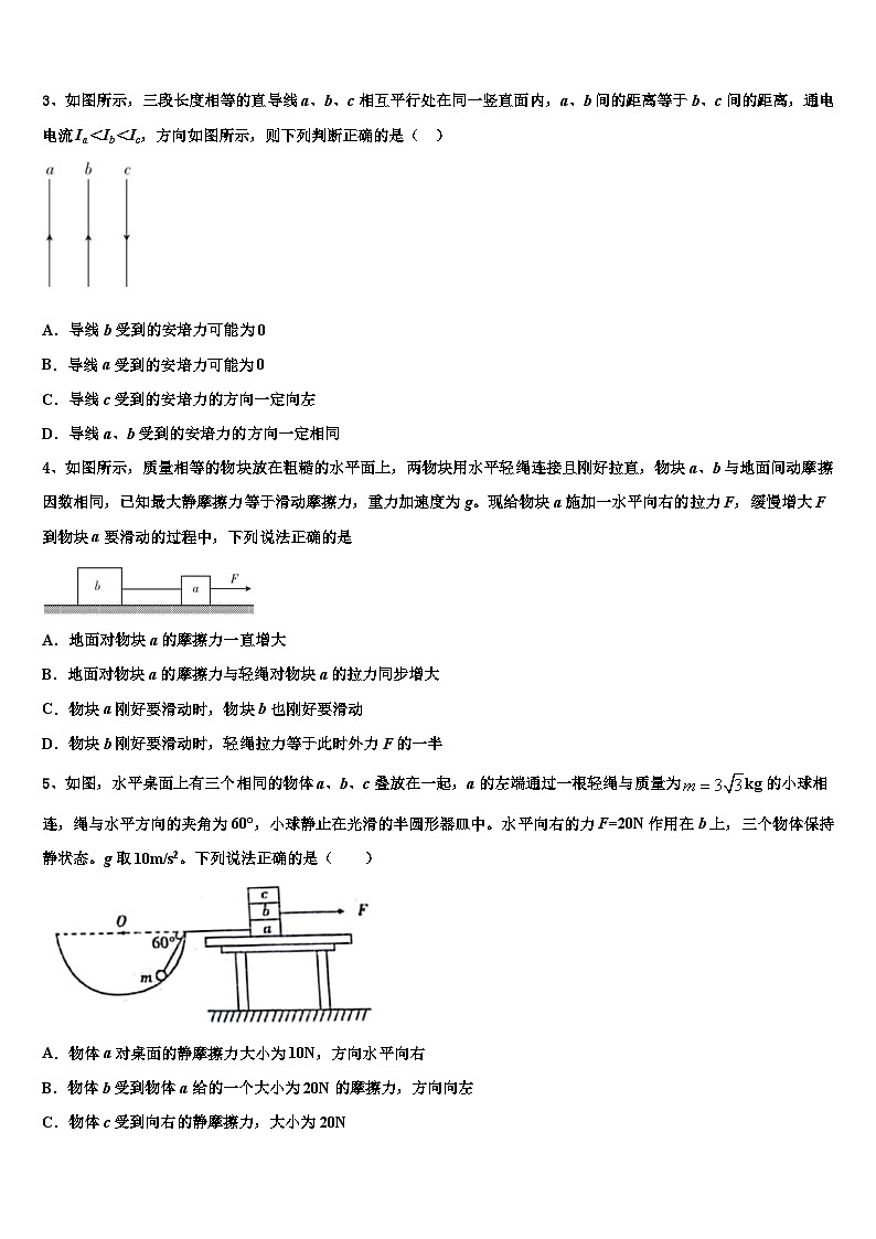 2026届河南省洛阳市理工学院附中高三（最后冲刺）物理试卷含解析第2页