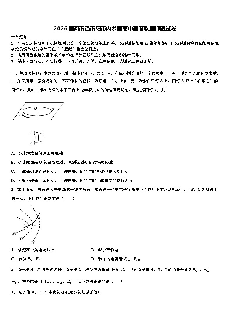 2026届河南省南阳市内乡县高中高考物理押题试卷含解析第1页