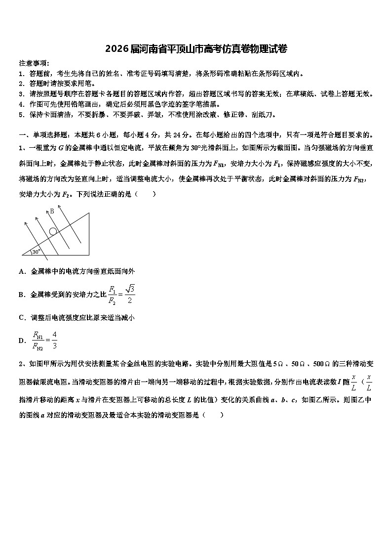 2026届河南省平顶山市高考仿真卷物理试卷含解析第1页