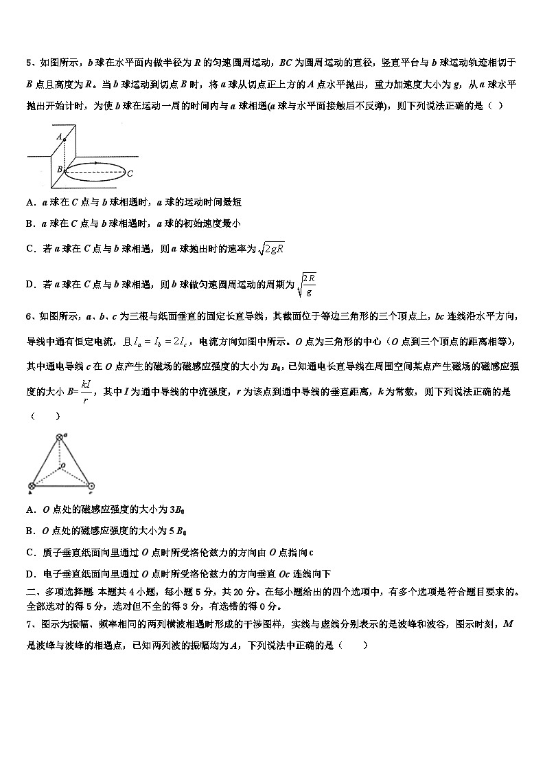 2026届河南省平顶山市鲁山一中高考全国统考预测密卷物理试卷含解析第2页