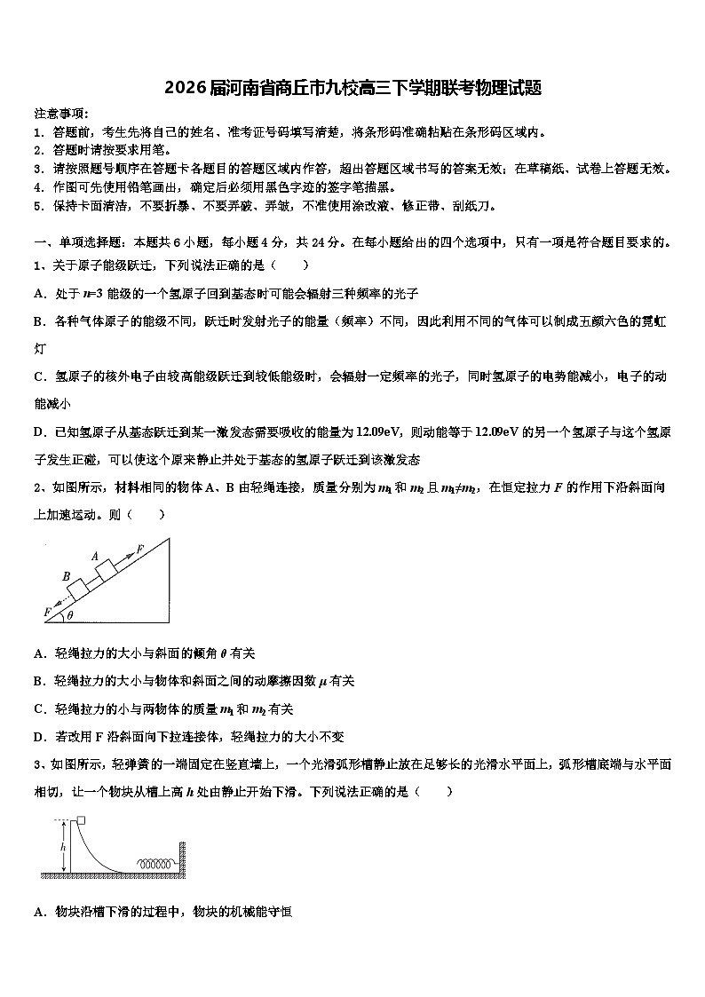 2026届河南省商丘市九校高三下学期联考物理试题含解析第1页