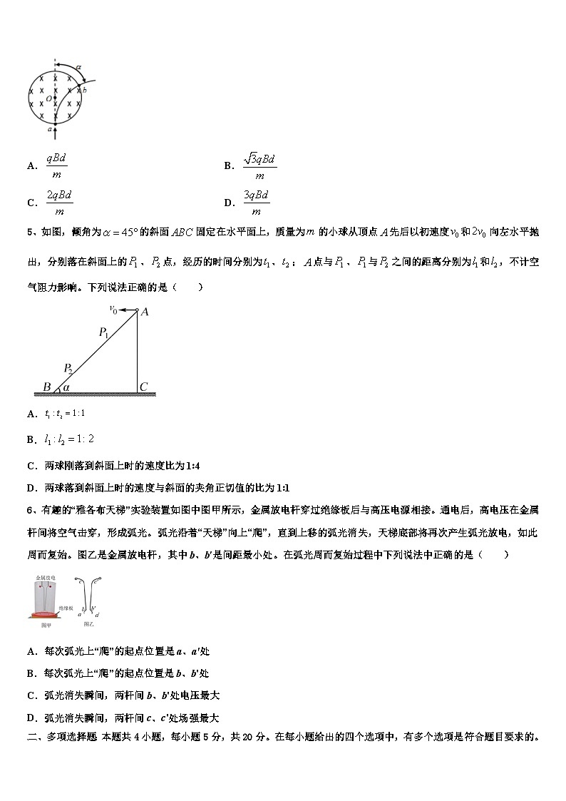 2026届河南省新乡市第二中学高三第二次诊断性检测物理试卷含解析(1)第2页
