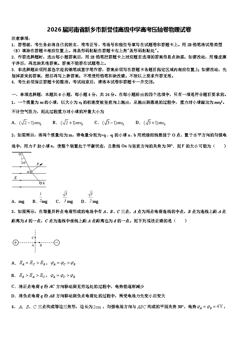2026届河南省新乡市新誉佳高级中学高考压轴卷物理试卷含解析第1页