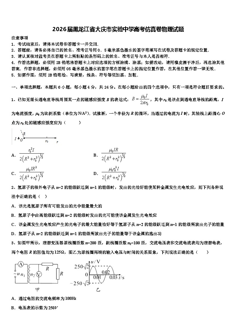 2026届黑龙江省大庆市实验中学高考仿真卷物理试题含解析第1页