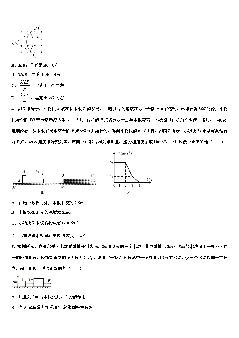 2026届黑龙江省大庆第一中学高三下第一次测试物理试题含解析第2页
