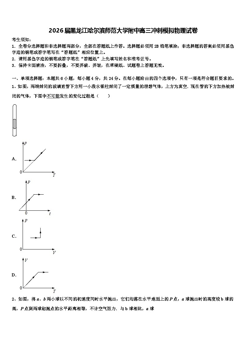 2026届黑龙江哈尔滨师范大学附中高三冲刺模拟物理试卷含解析第1页