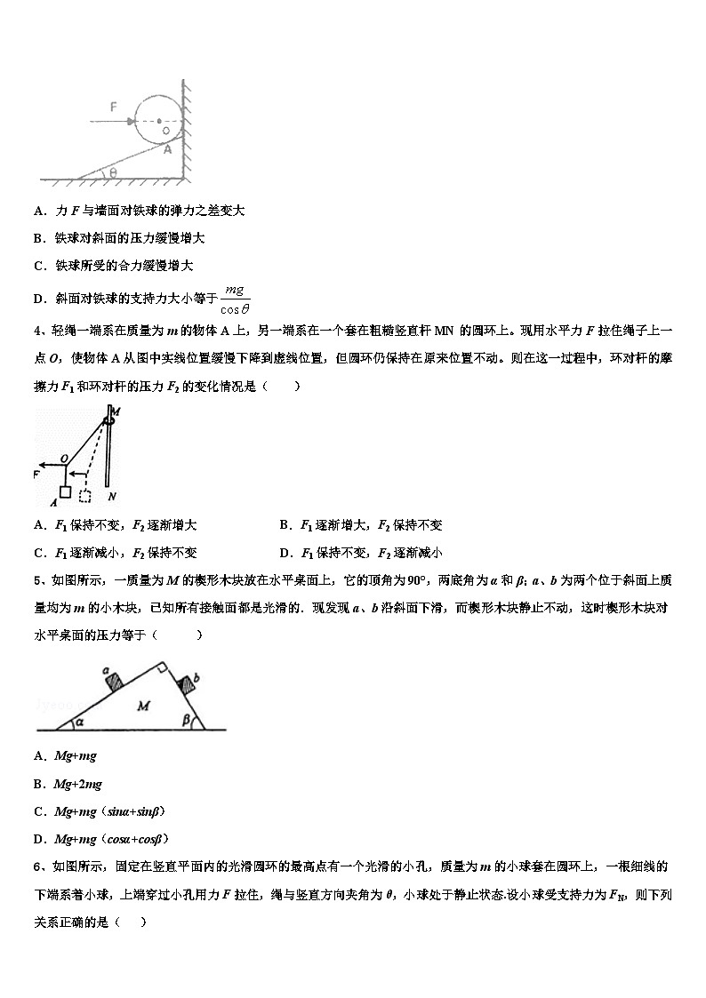 2026届河南师范大学附属中学高三下第一次测试物理试题含解析第2页