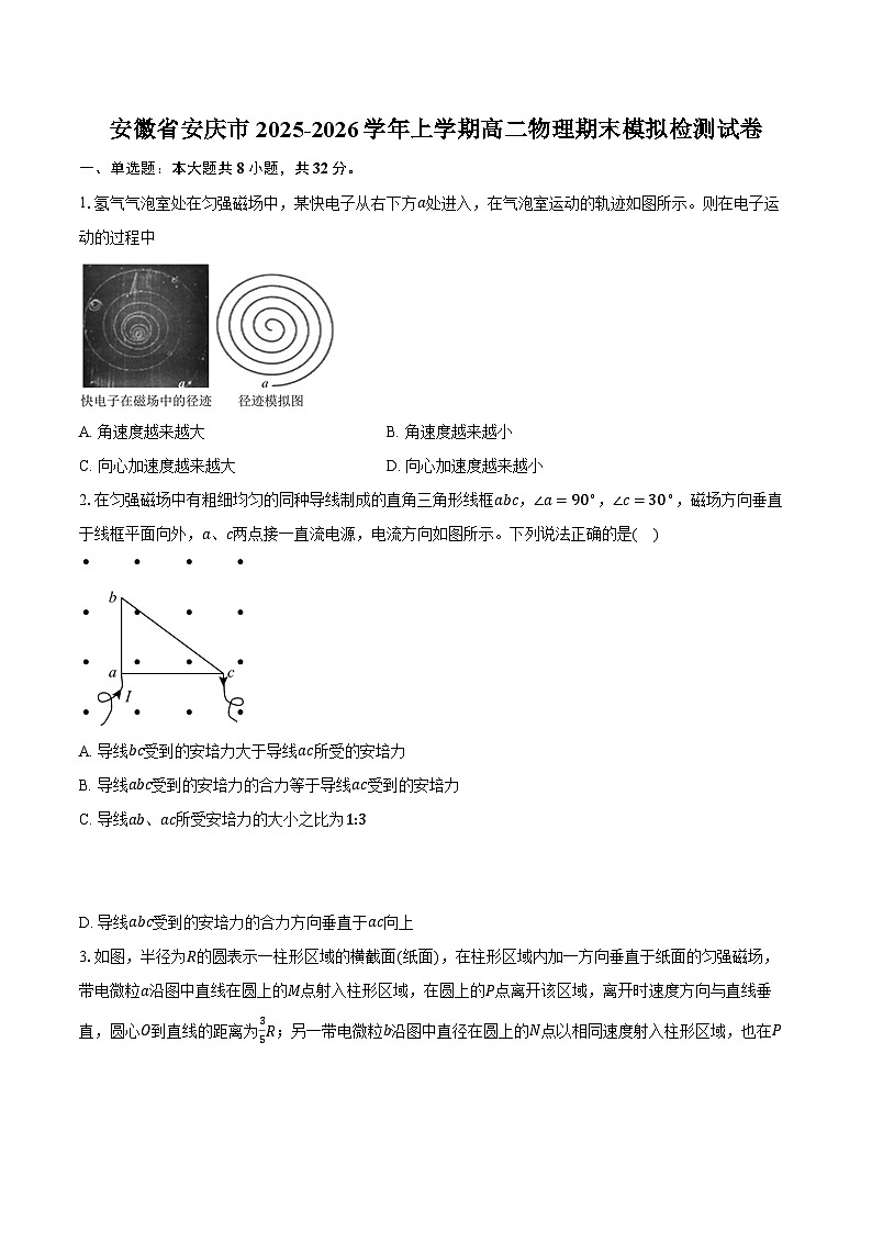 安徽省安庆市2025-2026学年上学期高二物理期末模拟检测试卷第1页