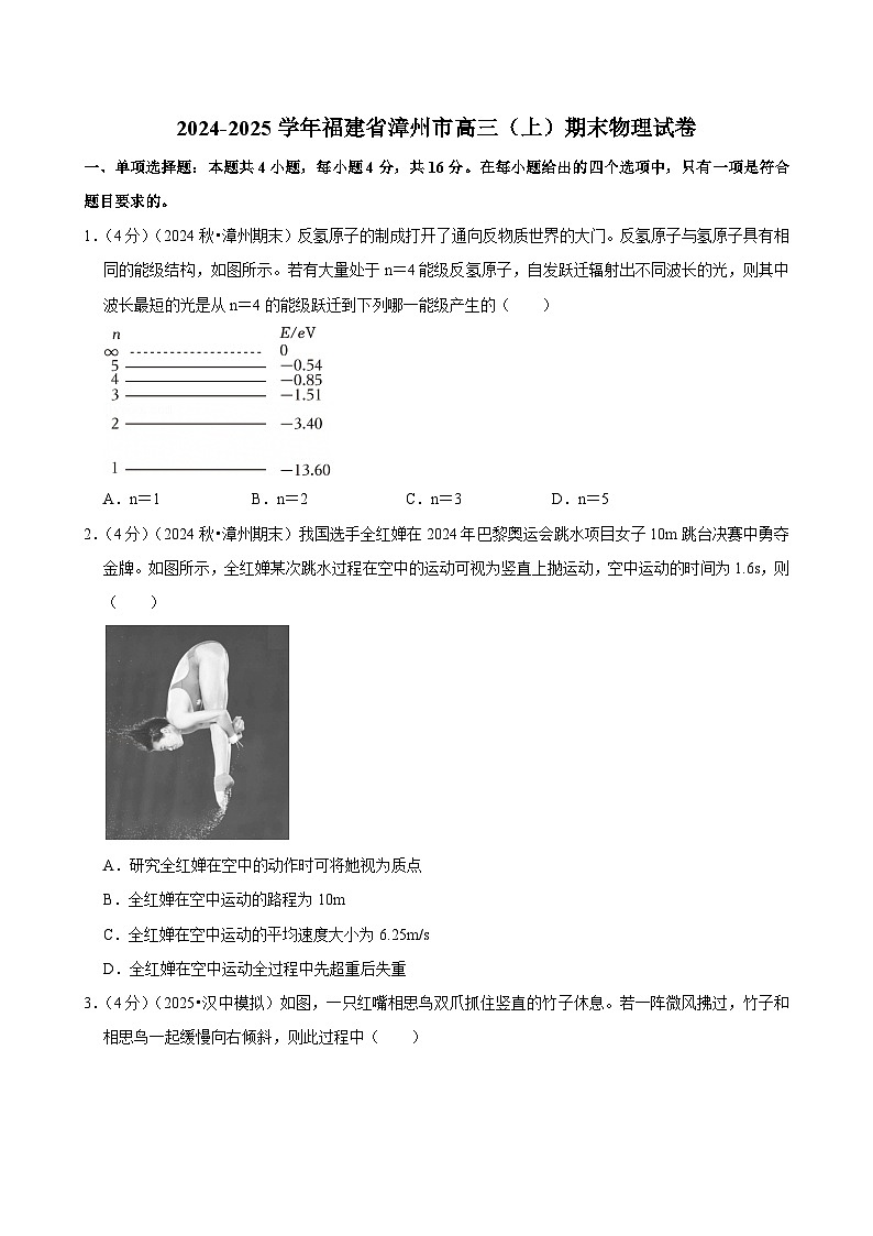 2024-2025学年福建省漳州市高三（上）期末物理试卷(含详细答案解析)第1页