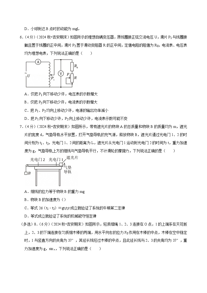 2024-2025学年江西省吉安市高三（上）期末物理试卷(含详细答案解析)第3页