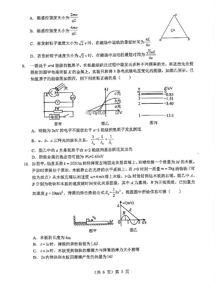 湖北省2026届高三上学期元月调考物理试卷+答案第3页