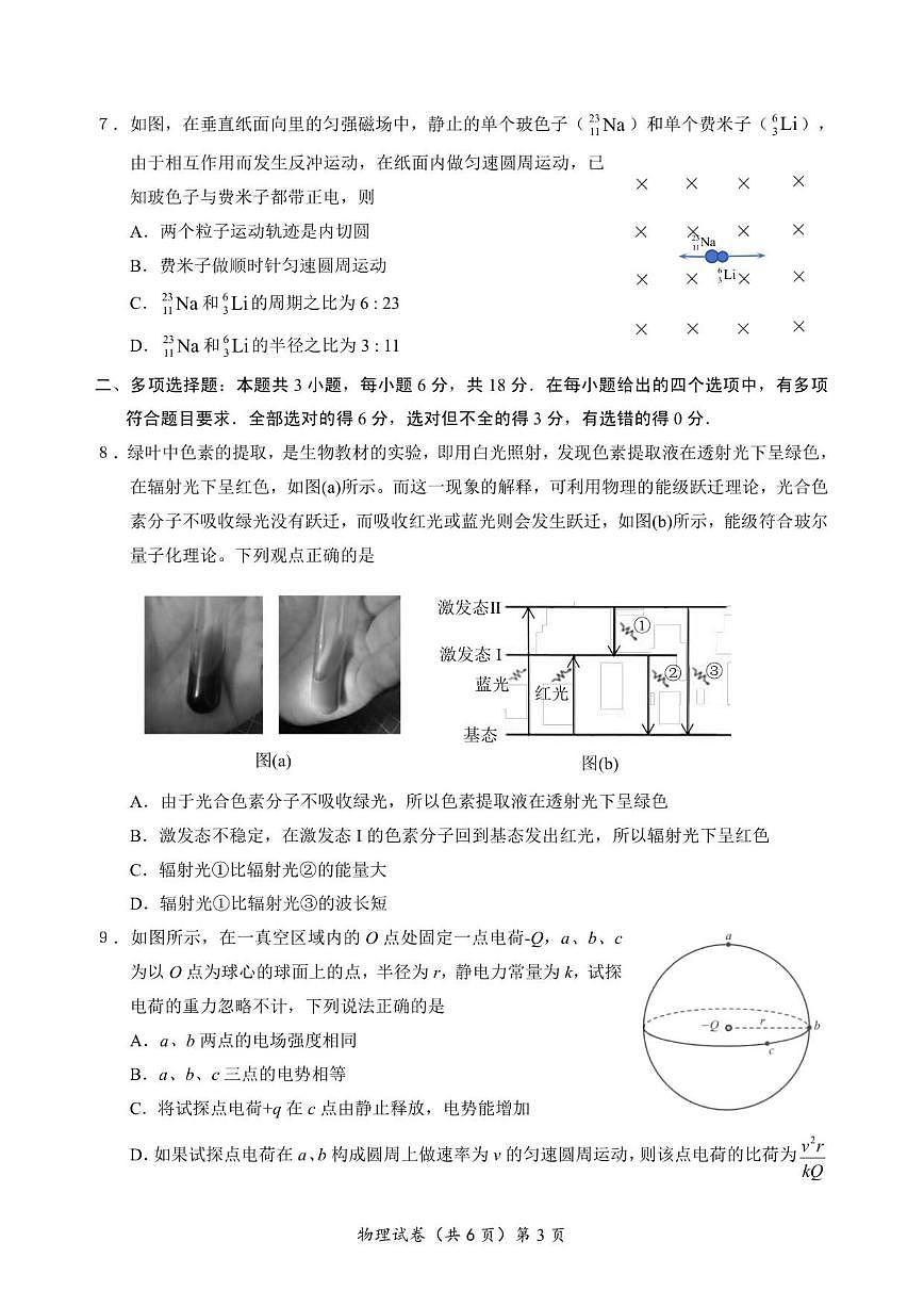 2025-2026学年广东省高三上学期12月联考物理试题（有解析）第3页