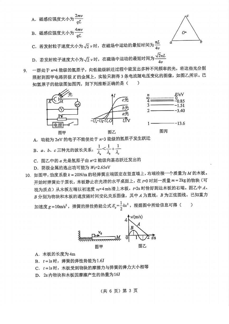 物理丨湖北省2026届高三上学期1月调考（元调）试卷及答案第3页