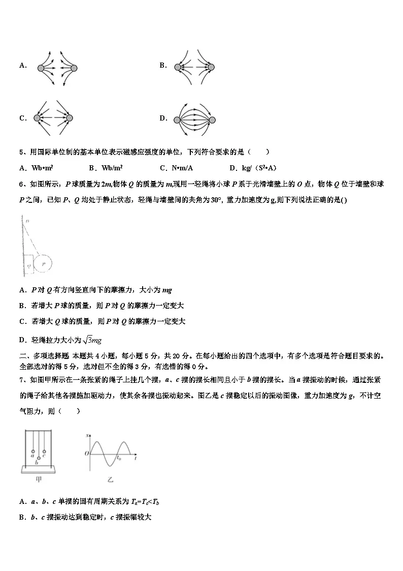 2026届黑龙江省哈尔滨市呼兰区第一中学高考冲刺押题（最后一卷）物理试卷含解析第2页