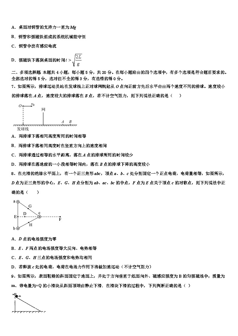 2026届黑龙江省哈尔滨市师范大学附中高考物理三模试卷含解析第3页