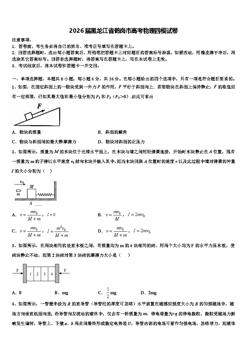 2026届黑龙江省鹤岗市高考物理四模试卷含解析第1页
