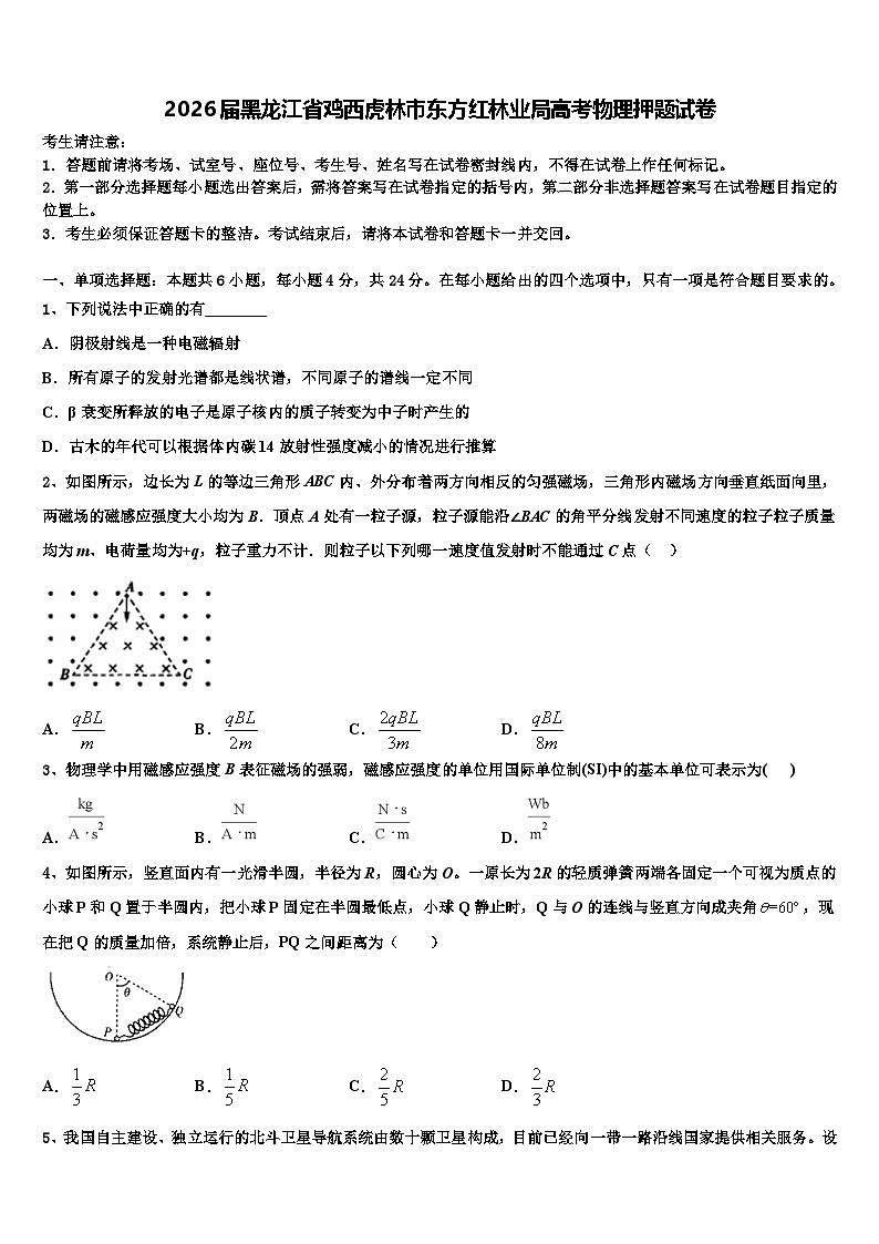 2026届黑龙江省鸡西虎林市东方红林业局高考物理押题试卷含解析第1页