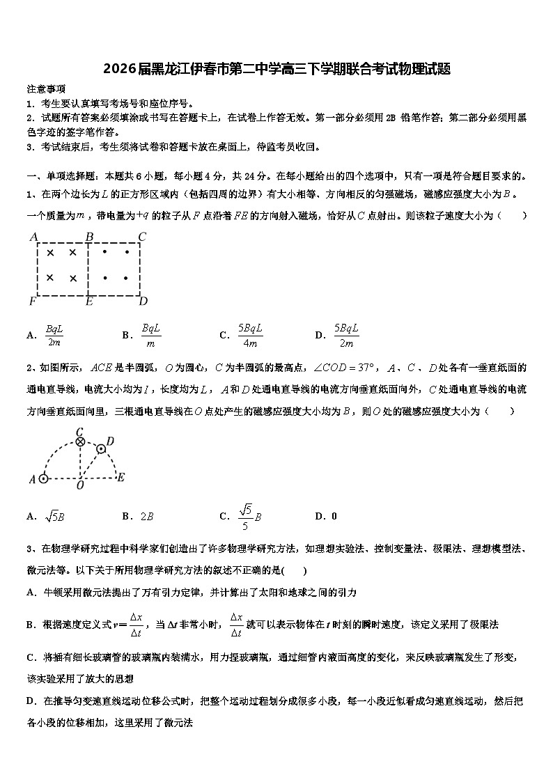2026届黑龙江伊春市第二中学高三下学期联合考试物理试题含解析第1页