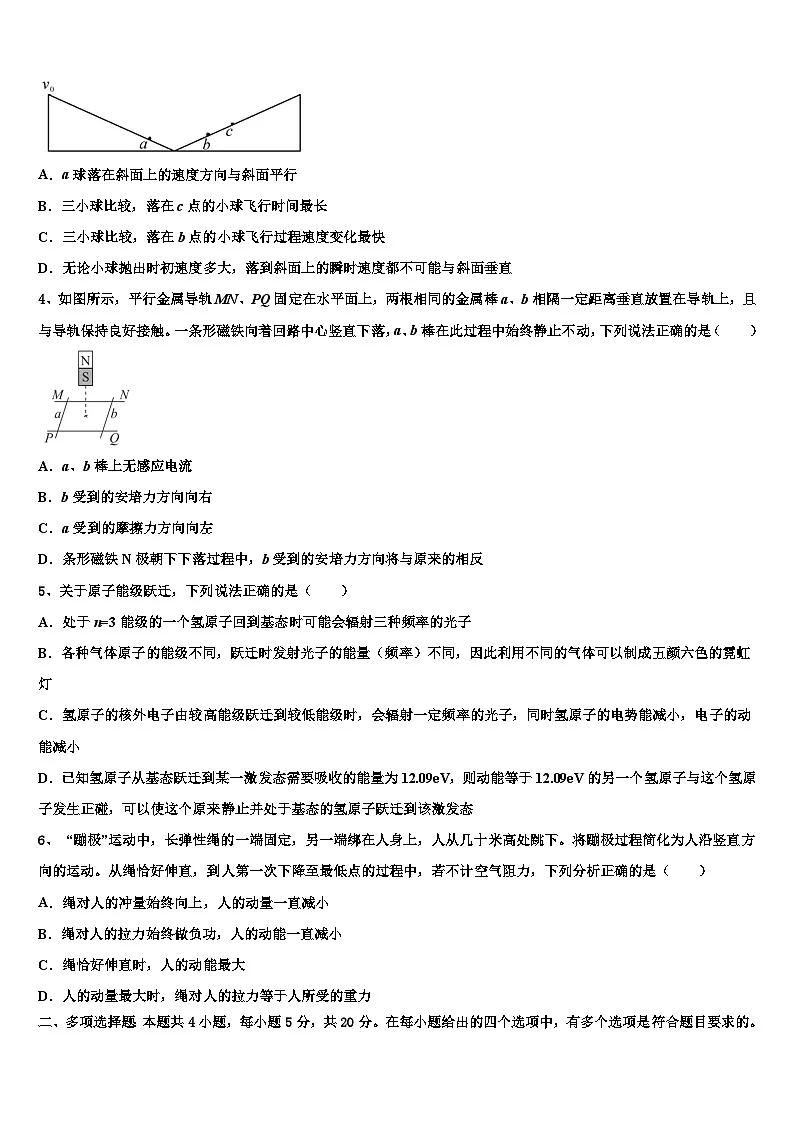2026届黑龙江省绥化市重点中学高三下学期一模考试物理试题含解析第2页