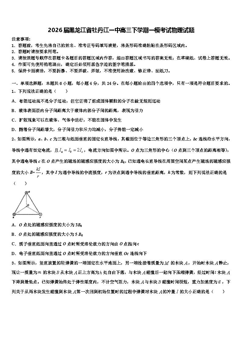 2026届黑龙江省牡丹江一中高三下学期一模考试物理试题含解析第1页