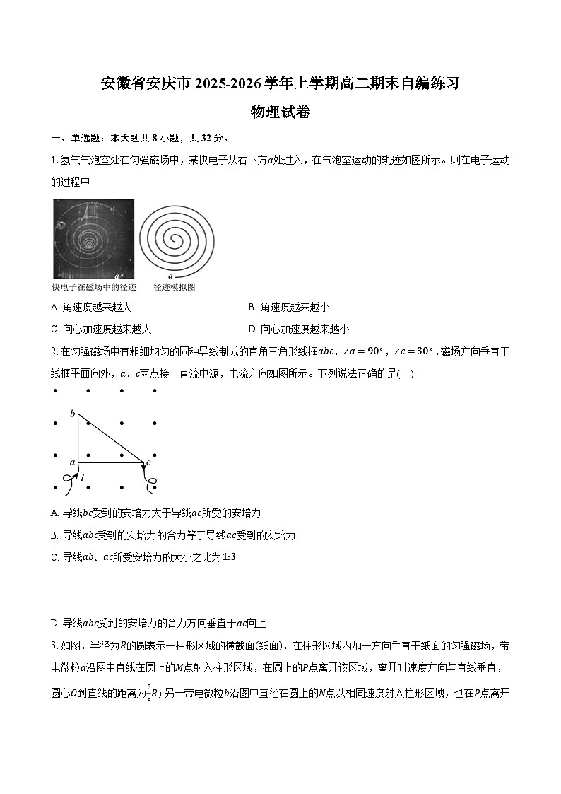 安徽省安庆市2025-2026学年上学期高二物理期末模拟检测试卷【含答案】第1页