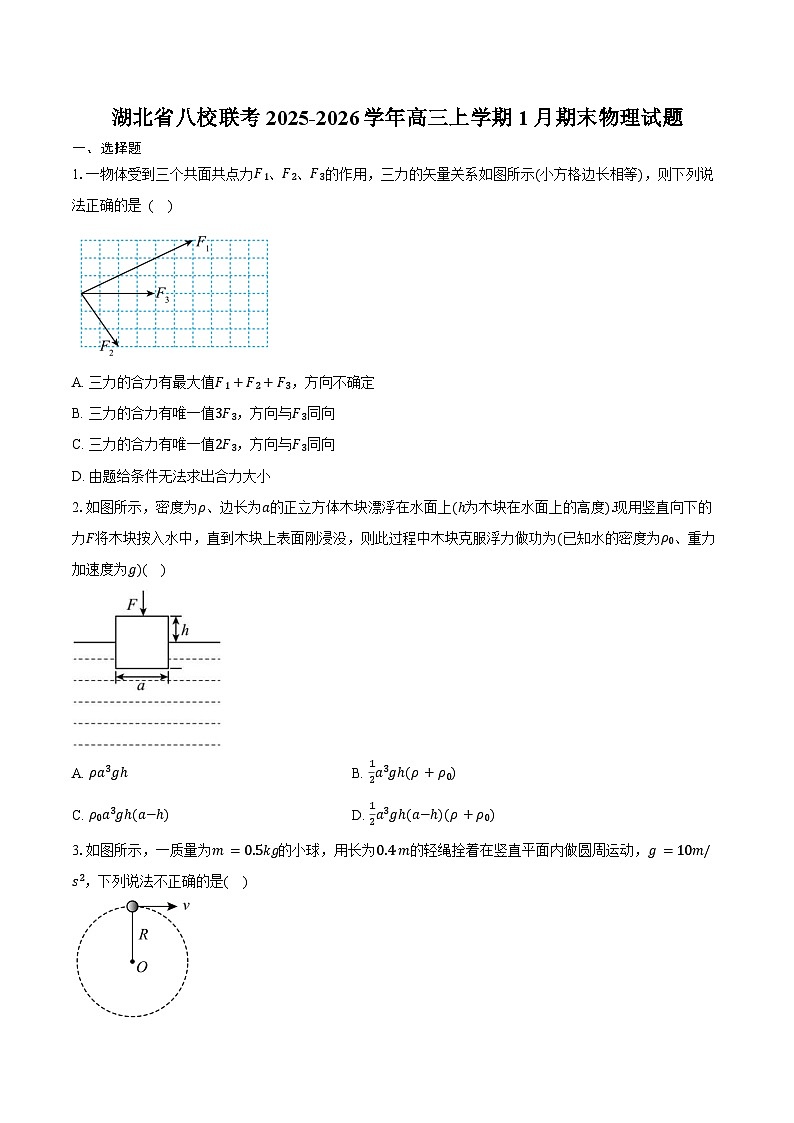 湖北省八校联考2025-2026学年高三上学期1月期末物理试卷（含答案）第1页