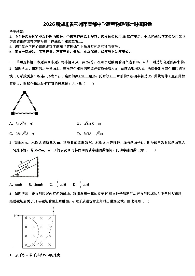 2026届湖北省鄂州市吴都中学高考物理倒计时模拟卷含解析第1页
