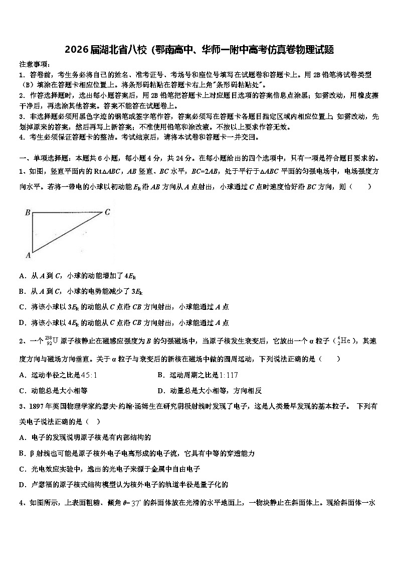 2026届湖北省八校（鄂南高中、华师一附中高考仿真卷物理试题含解析第1页