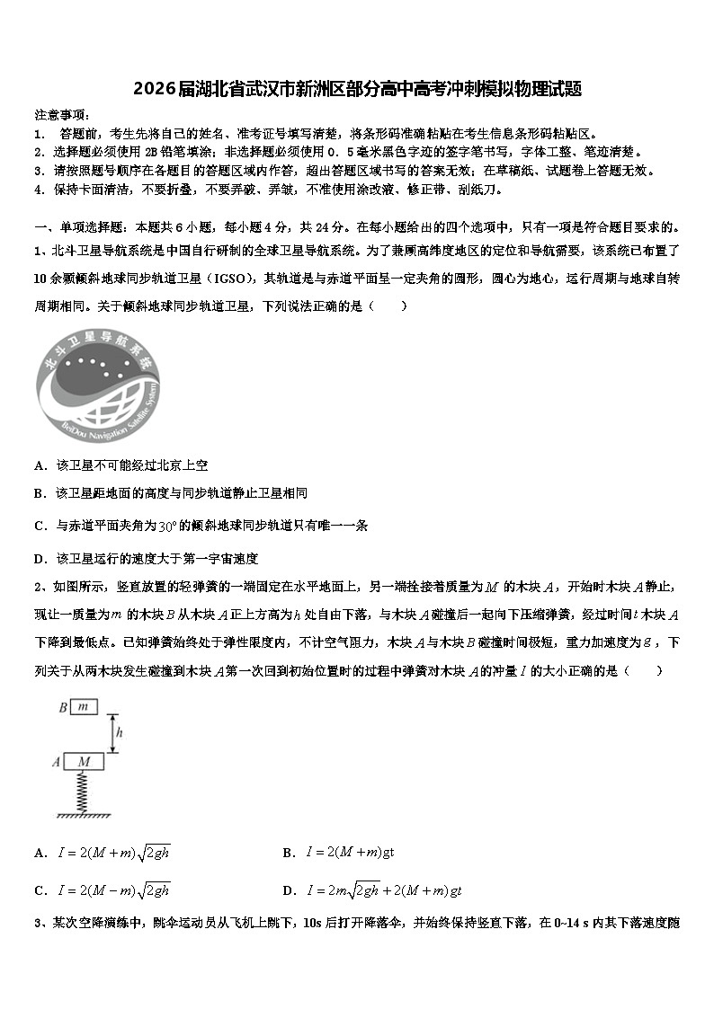 2026届湖北省武汉市新洲区部分高中高考冲刺模拟物理试题含解析第1页