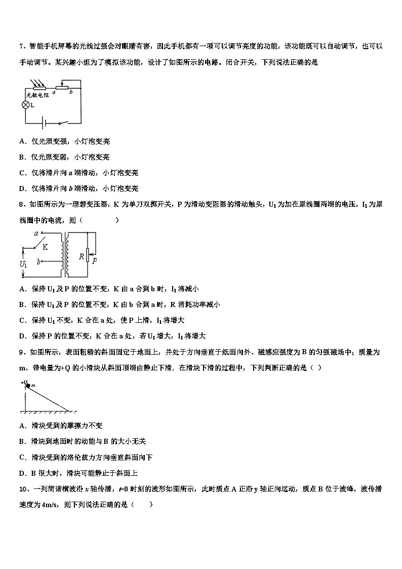 2026届湖北省武汉市新洲三中高考物理二模试卷含解析第3页
